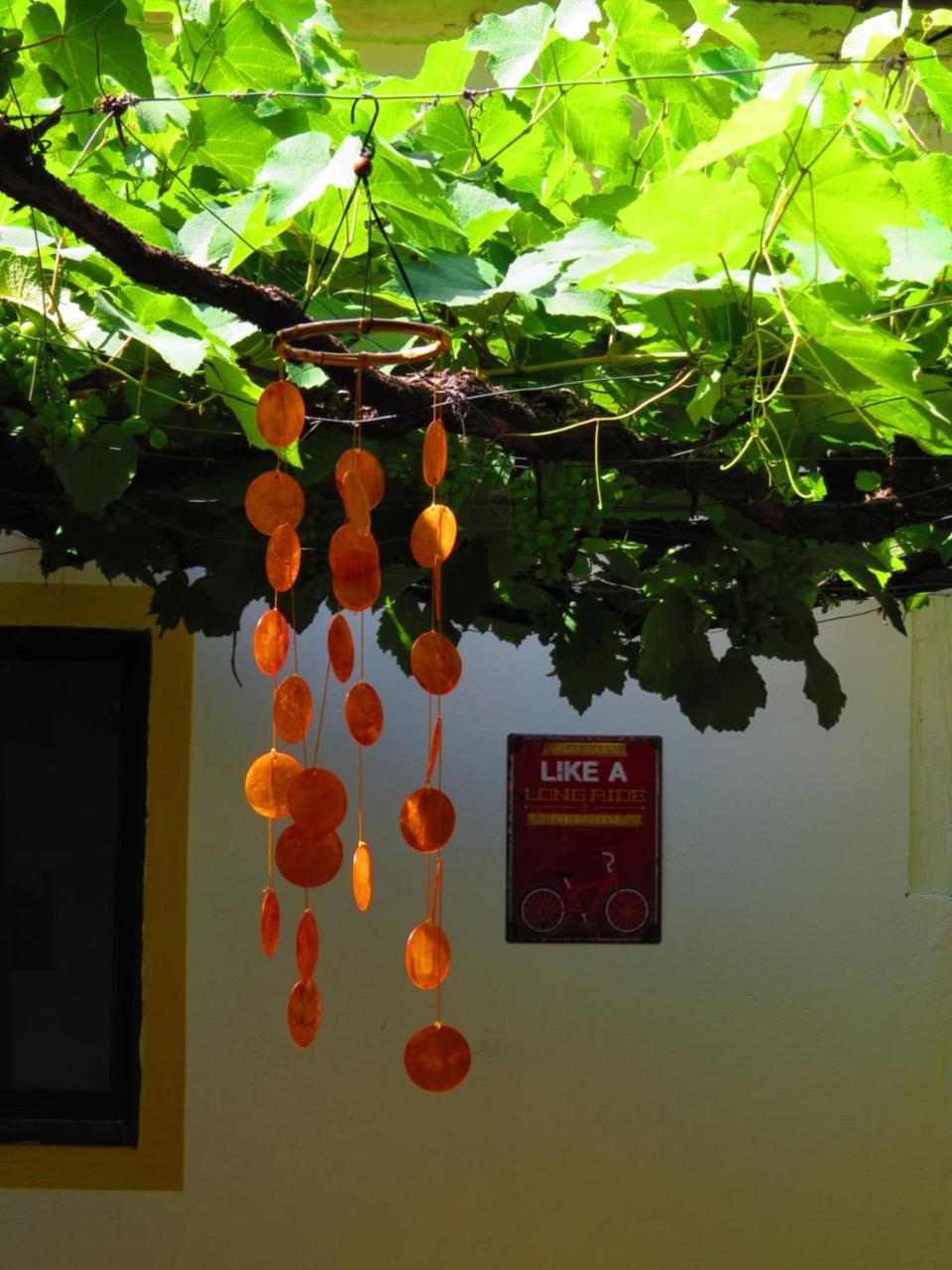 Chicamocha Hostel San Gil Exteriér fotografie